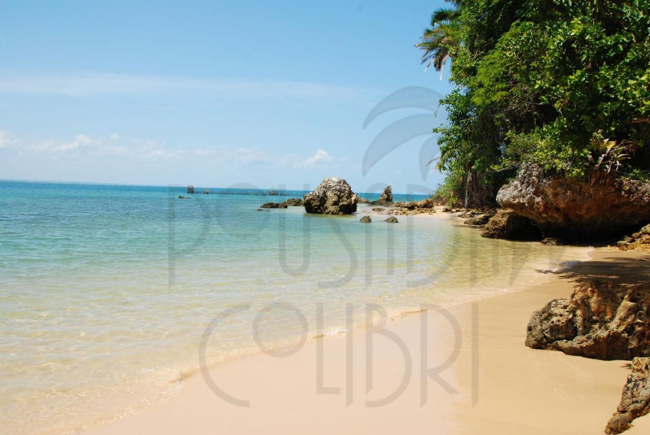 Pousada Colibri มอร์โฮเจอเซาเปาลู ภายนอก รูปภาพ